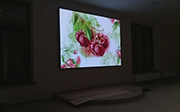 Экран для агропромышленного холдинга Сады Придонья. Видеоэкран 296*200 см, с шагом пикселя Р2 мм и разрешением экрана 1440*960 px.
Экран с прямым включением, установлен в зале для презентаций.